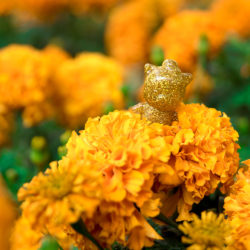 Alternative view of CLOVER TOWN Glitter Piggy Brothers mini Sofubi