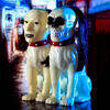 Awesome Toy Jinmenken 人面犬 駭骨犬 GID Set (Glow in the Dark)