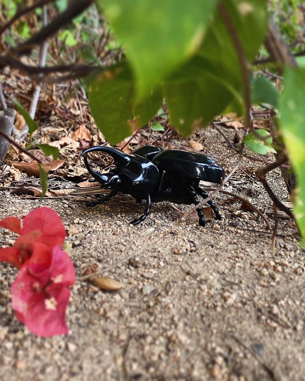 Awesome Toy Beetle Wrestler - Hercules beetle - Image 7